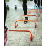 Kineta Prepona 15cm | shoptok.hr