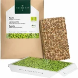 Heimgart Microgreens rukola semenska blazinica