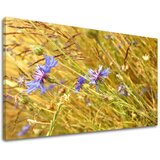  Slike na platnu cveće | ePonuda.com