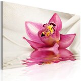  Slika - Unusual orchid 60x40 Cijene