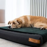 Rexproduct Crni ortopedski madrac za pse 70x60 cm Ori L – | shoptok.hr