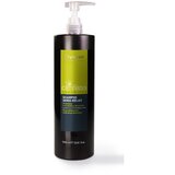 Oyster šampon za hidrataciju i negu kose 1000ml Cene