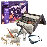 Woopie set za iskopavanje Mali arheolog, 6 kostura dinosaura | shoptok.hr