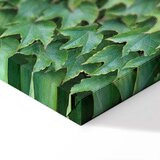  Slika - Thick Ivy (1 Part) Vertical 80x120 | shoptok.hr