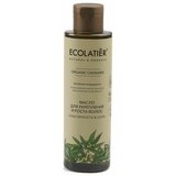 ECOLATIER green ulje za jačanje kose sa vitaminom e i organskim uljem konoplje 200ml cene