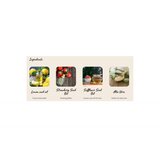 Pet Head Felin Good sprej 300 ml | ePonuda.com