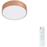 Brilagi LED prigušiva plafonska svetiljka POOL LED/24W/230V prečnik 20 cm bronzana + daljinski upravljač | Eponuda.com