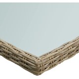  Vrtni blagovaonski stol smeđi 200x100x74 cm staklo i poliratan | shoptok.hr