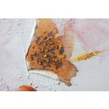  Naslikana slika na platnu cvetje 1-delna 70x70 cm CWF11237WE1 () | shoptok.hr