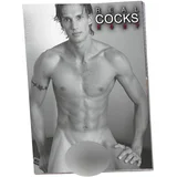 Cocks 2027 - erotični stenski koledar (10 kos)