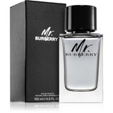 Burberry Mr. toaletna voda za moške 150 ml | Shoptok.si