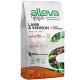 Alleva holistic adult medium/maxi venison & lamb + hemp & ginseng - grain free hrana za odrasle pse srednjih i velikih rasa sa jagnjetinom i d Cene