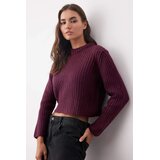 TRENDYOLMILLA ženski duks Twoaw26Kz00176, šljivasta-purple Cene