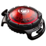 Orbiloc LED lučka za ovratnico Red - | Shoptok.si