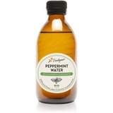 Dr. Feelgood BIO Peppermint umirujuća cvjetna voda s pepermintom 250 ml | shoptok.hr