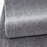 Ayyildiz Carpets Siva preproga 80x150 cm Ata – | Shoptok.si