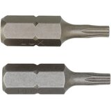 Lux Tools Bit za bušilicu Torx-bit komplet TX10/2 kom Cijene