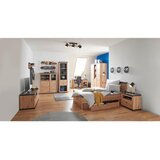 Hom`in OMARA S KLASIČNIMI VRATI, barve hrasta, temno siva | Shoptok.si