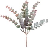 Modern Living Okrasna Vejica Eukalyptuszweig I -Paz- | Shoptok.si