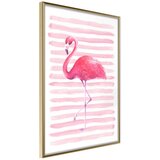  Poster - Pink Madness 30x45 | shoptok.hr