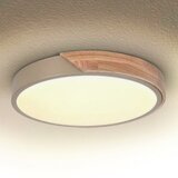 Brilagi LED prigušiva svetiljka PILANA LED/48W/230V hrast/bež prečnik 40 cm + sa daljinskim upravljačem | Eponuda.com