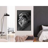  Poster - Old King 40x60 | shoptok.hr