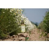 Purity Vision BIO hidrolat kamilice 100 ml | Shoptok.si