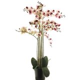 Dekordom 51341-7 Cvet u saksiji orchid 110cm - pink - nnt ( 040062 ) Cene