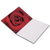 Klipko Blok , stenogramski, A5, črtni, 50-listni, vrtnica | Shoptok.si