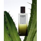 Loewe Esencia Elixir parfum za moške 100 ml | Shoptok.si