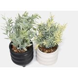 Sinsay Ukrasna umjetna biljka 2 pack | shoptok.hr