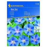 KIEPENKERL Cvetlična semena slaka Blue Star (Ipomoea purpurea) | Shoptok.si