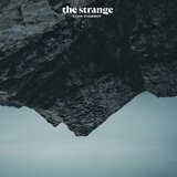 DANCING BEAR THE STRANGE - Echo Chamber LP | Eponuda.com