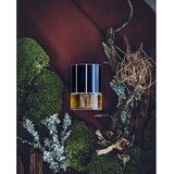 N.C.P. Olfactives 701 Leather & Vetiver parfumska voda uniseks 50 ml | Shoptok.si
