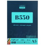 Professional Master B, bristol, blok za crtanje - odaberite veličinu B530 - 200g, 30 lista A5 | Eponuda.com