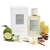 Chloé Atelier Des Fleurs Immortelle Toaletna voda unisex 150 ml | Shoptok.si