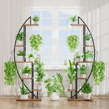 Smania Moonflower™ stalak za biljke u obliku polumjeseca s rasvjetom | shoptok.hr