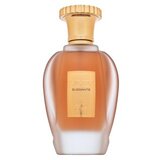 Emir Voux Elegante parfumirana voda unisex 100 ml | Shoptok.si