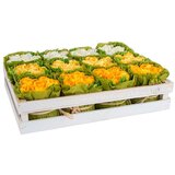  Papirna dekoracija žuto bele ružice 3 boje | ePonuda.com
