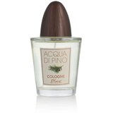 Parfem za muškarce Pino Silvestre Acqua di Pino Cologne EDC 125 ml | shoptok.hr
