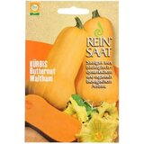 ReinSaat Jedilna buča "Butternut Waltham" Cene