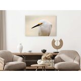  Slika - Snowy Egret (1 Part) Wide 120x80 | shoptok.hr