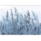 Artgeist Fototapeta Tall Grasses, 450x315cm | Shoptok.si