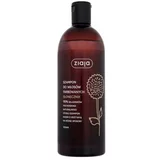Ziaja Sunflower Shampoo 500 ml šampon za farbanu kosu za ženske