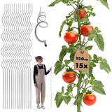 KADAX spiralna palica za paradižnik, fižol, kumare, podpora za rastline 150 cm 15 kosov, (5000362285) | Shoptok.si