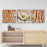 Wallxpert slika na platnu od 3 dela PDR74736, bele tratinčice na drvenoj podlozi, 30 x 90 cm Cene