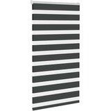 vidaXL idaXL Zebra senčilo črna 75x150 cm tkanina širina 70,9 cm poliester | Shoptok.si
