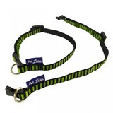 Pet Line Ogrlica Yorkshire Terrier | ePonuda.com