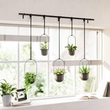 Umbra SET STENSKIH POSOD ZA ROŽE | Shoptok.si