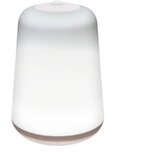 Home Dekorativna baterijska LED lampa CL5CL | ePonuda.com
